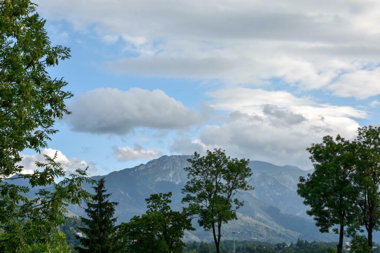 Willa U Slodkiego Zakopane Exterior photo